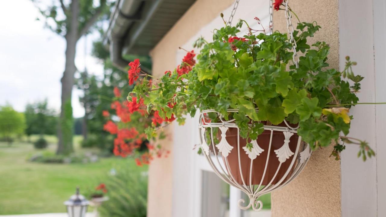 Palac Pacoltowko Ngoại thất bức ảnh
